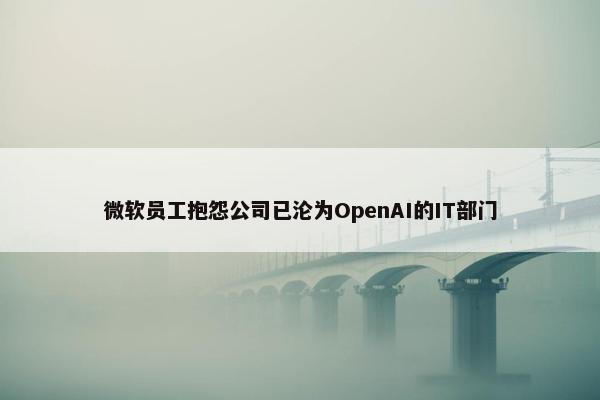 微软员工抱怨公司已沦为OpenAI的IT部门