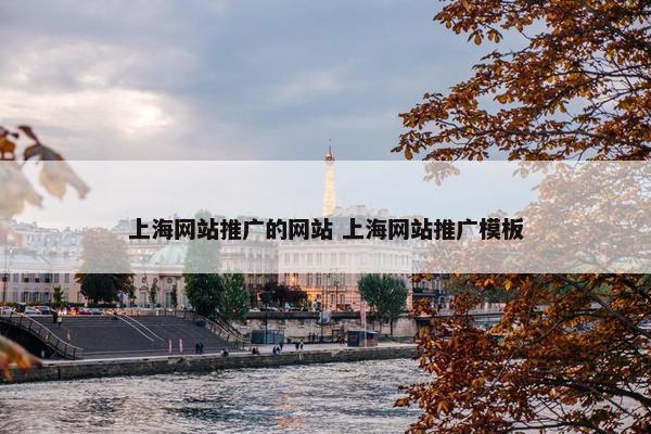 上海网站推广的网站 上海网站推广模板