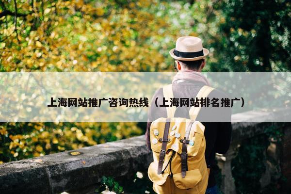 上海网站推广咨询热线（上海网站排名推广）