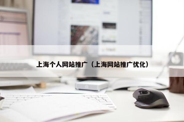 上海个人网站推广（上海网站推广优化）