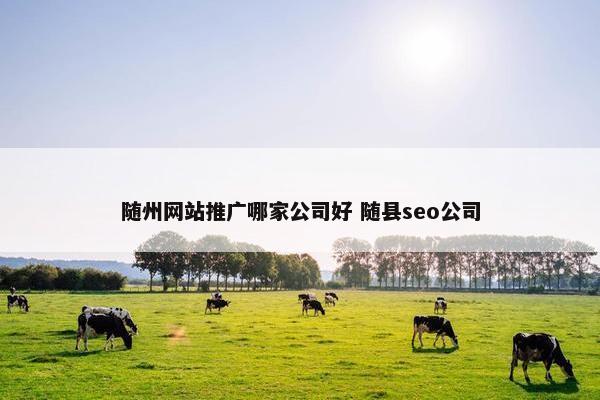 随州网站推广哪家公司好 随县seo公司