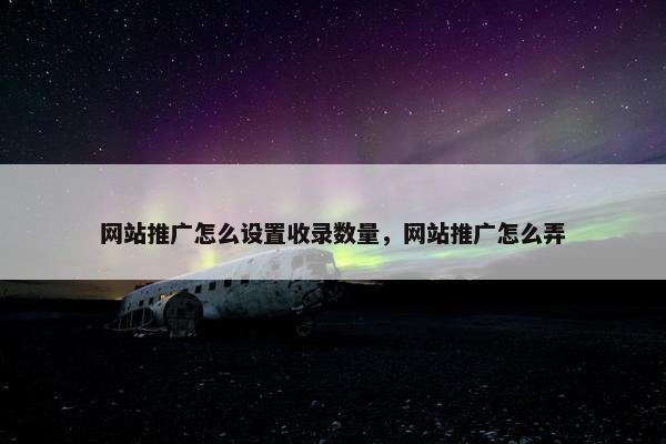 网站推广怎么设置收录数量，网站推广怎么弄