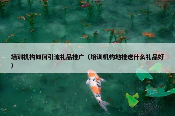 培训机构如何引流礼品推广（培训机构地推送什么礼品好）