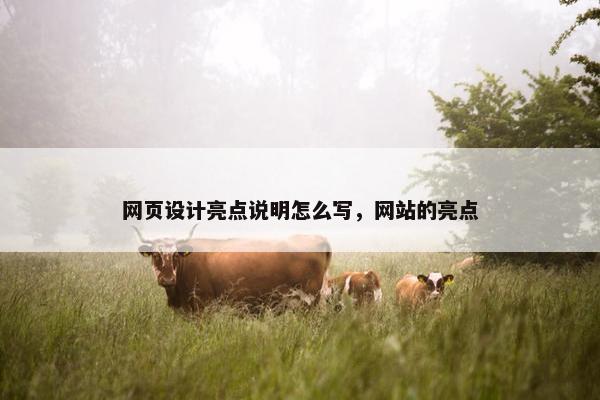 网页设计亮点说明怎么写，网站的亮点