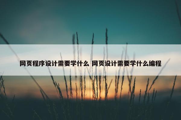 网页程序设计需要学什么 网页设计需要学什么编程