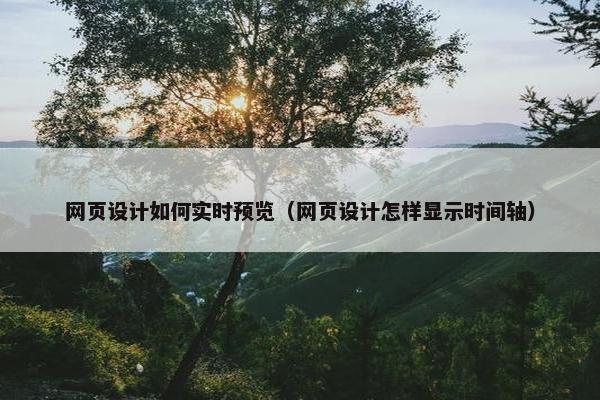 网页设计如何实时预览（网页设计怎样显示时间轴）